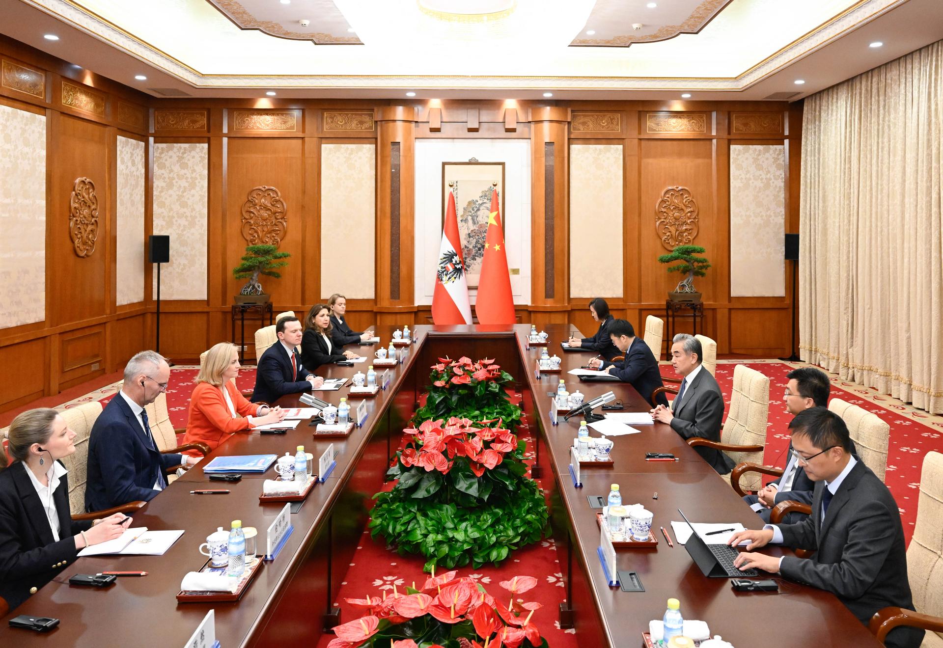 （XHDW）（2）王毅同奥地利外长赖辛格会谈+XxjpsgC000438_20260625_PEPFN0A001