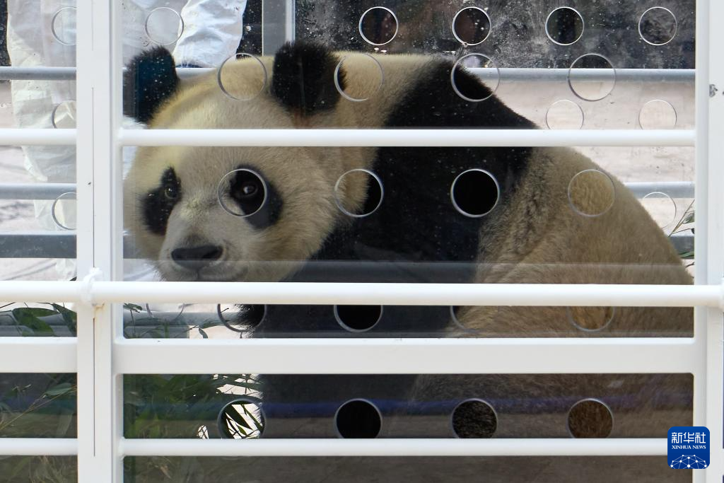 20241210d483123e092241feb9a4de2a70a1e18a_20241210314a261fa9b84046bcb774132401045e