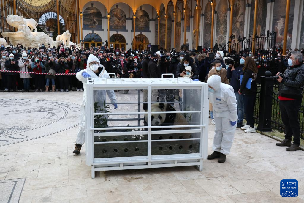 20241210d483123e092241feb9a4de2a70a1e18a_2024121053b5ec3422554bc39941e5eb247a62d0