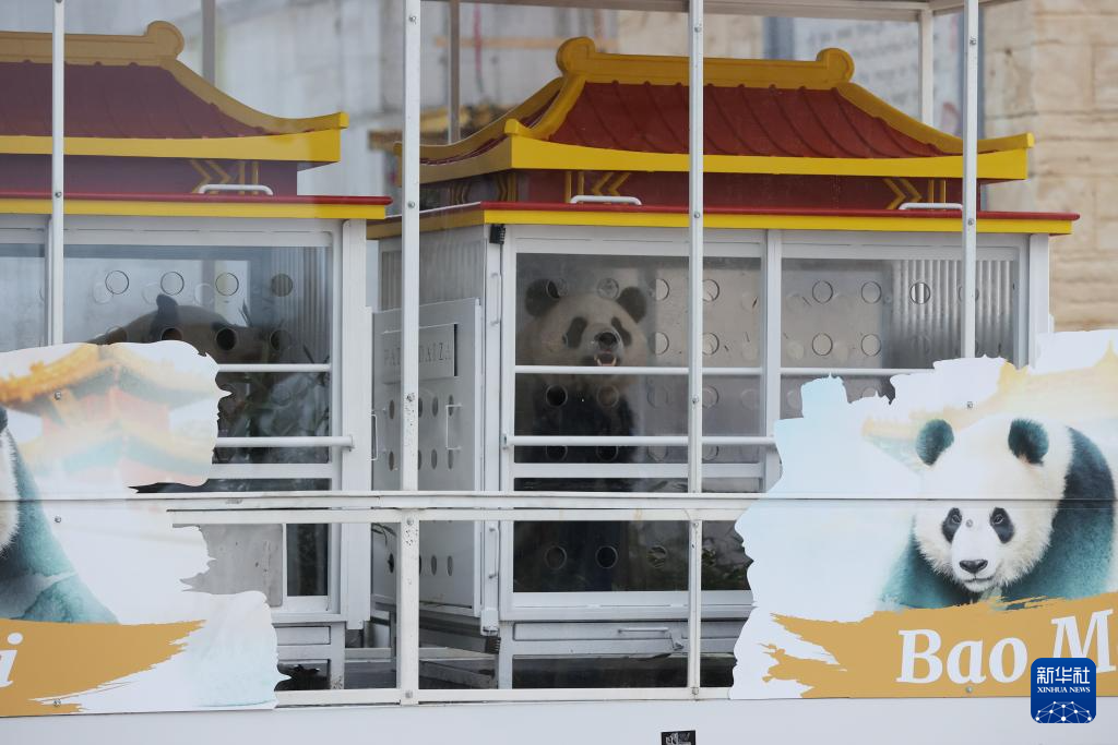 20241210d483123e092241feb9a4de2a70a1e18a_2024121058b384466b504d98b6496ebcd635c176