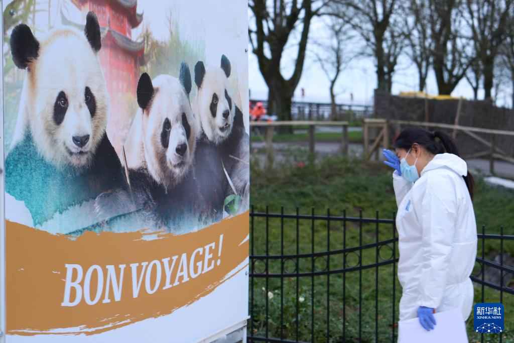 20241210d483123e092241feb9a4de2a70a1e18a_2024121053d9d02c735f4815b447669dc84be23f