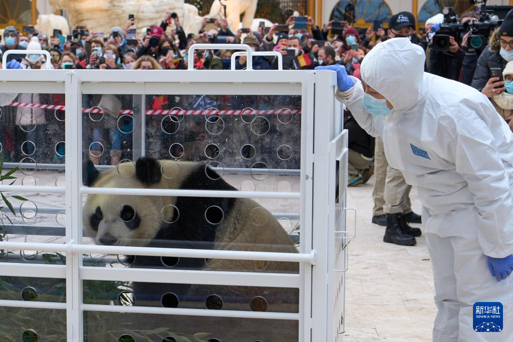 20241210d483123e092241feb9a4de2a70a1e18a_202412105fa7c253e17f44e6a3119f3c57e54b01