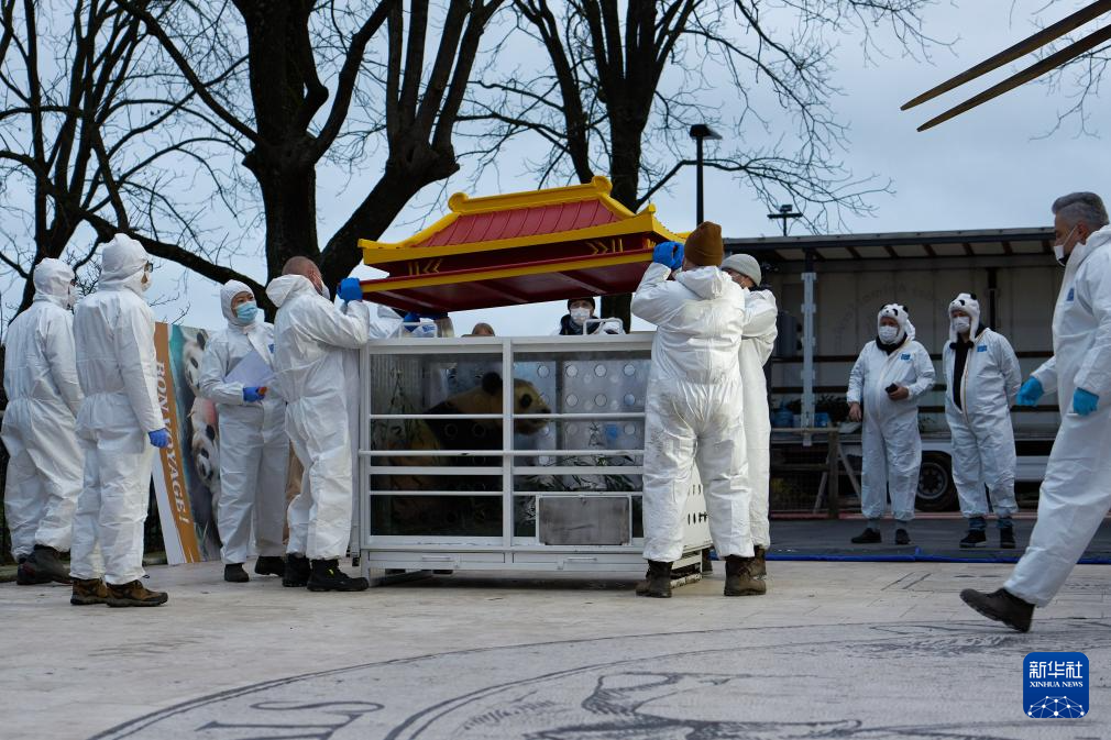 20241210d483123e092241feb9a4de2a70a1e18a_202412108769c76b650f4386af46236ba860a8ea