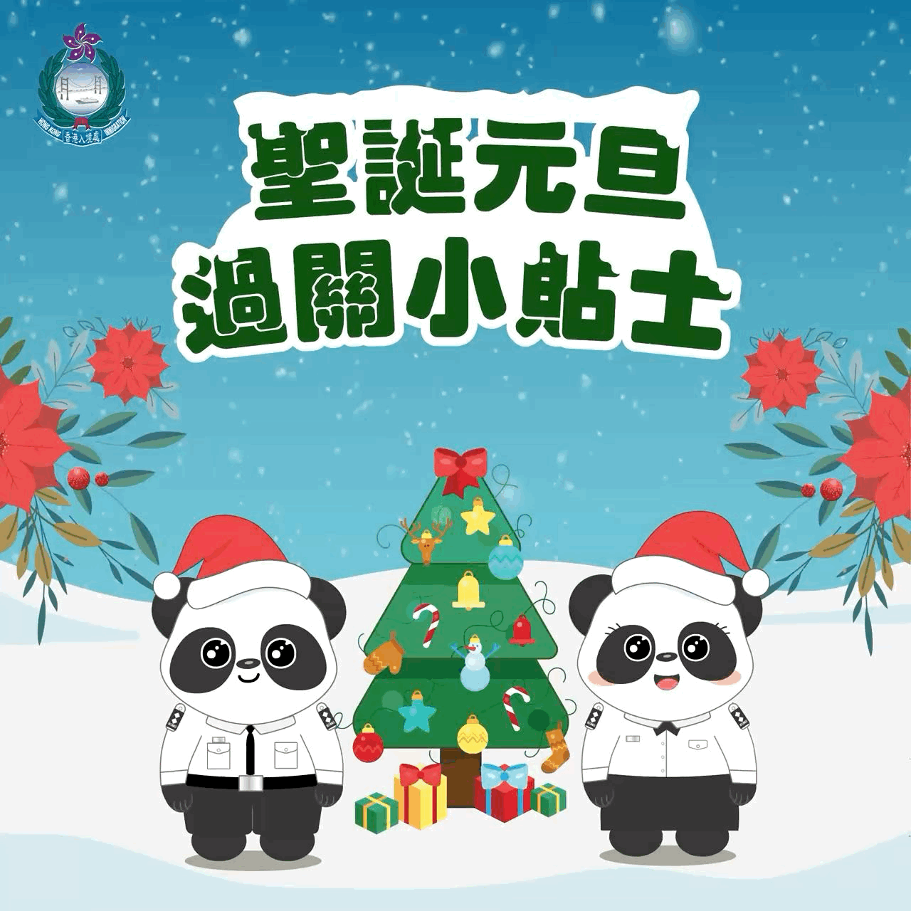 WhatsApp GIF 2024-12-24 at 14.43