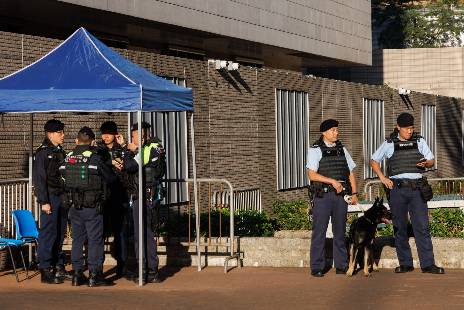 图片_20251215084102_3190_12