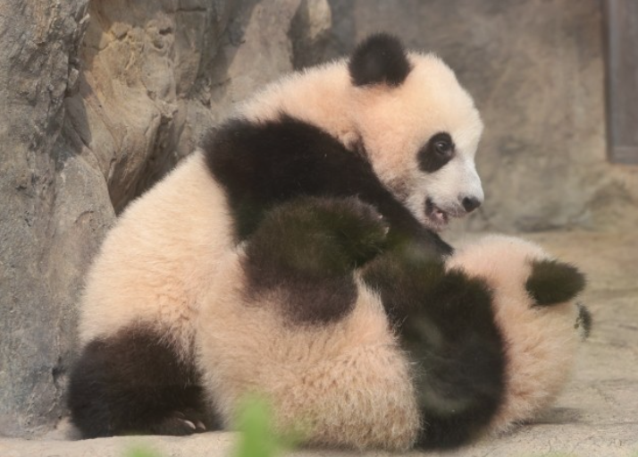 微信图片_20250216195105