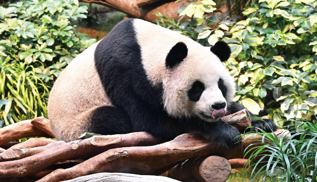 WX20250207-141757@2x