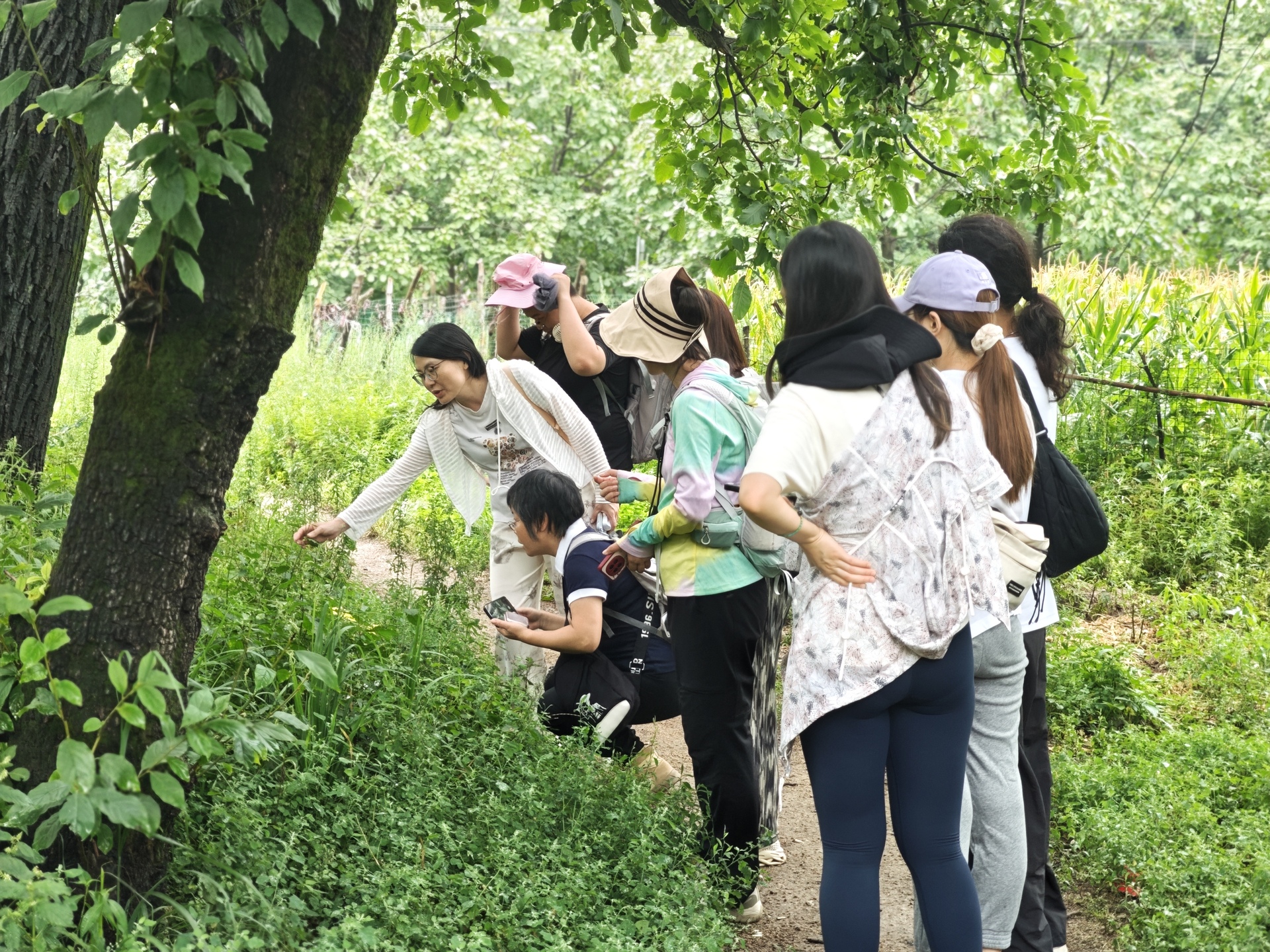 微信图片_20260112101828_42_377