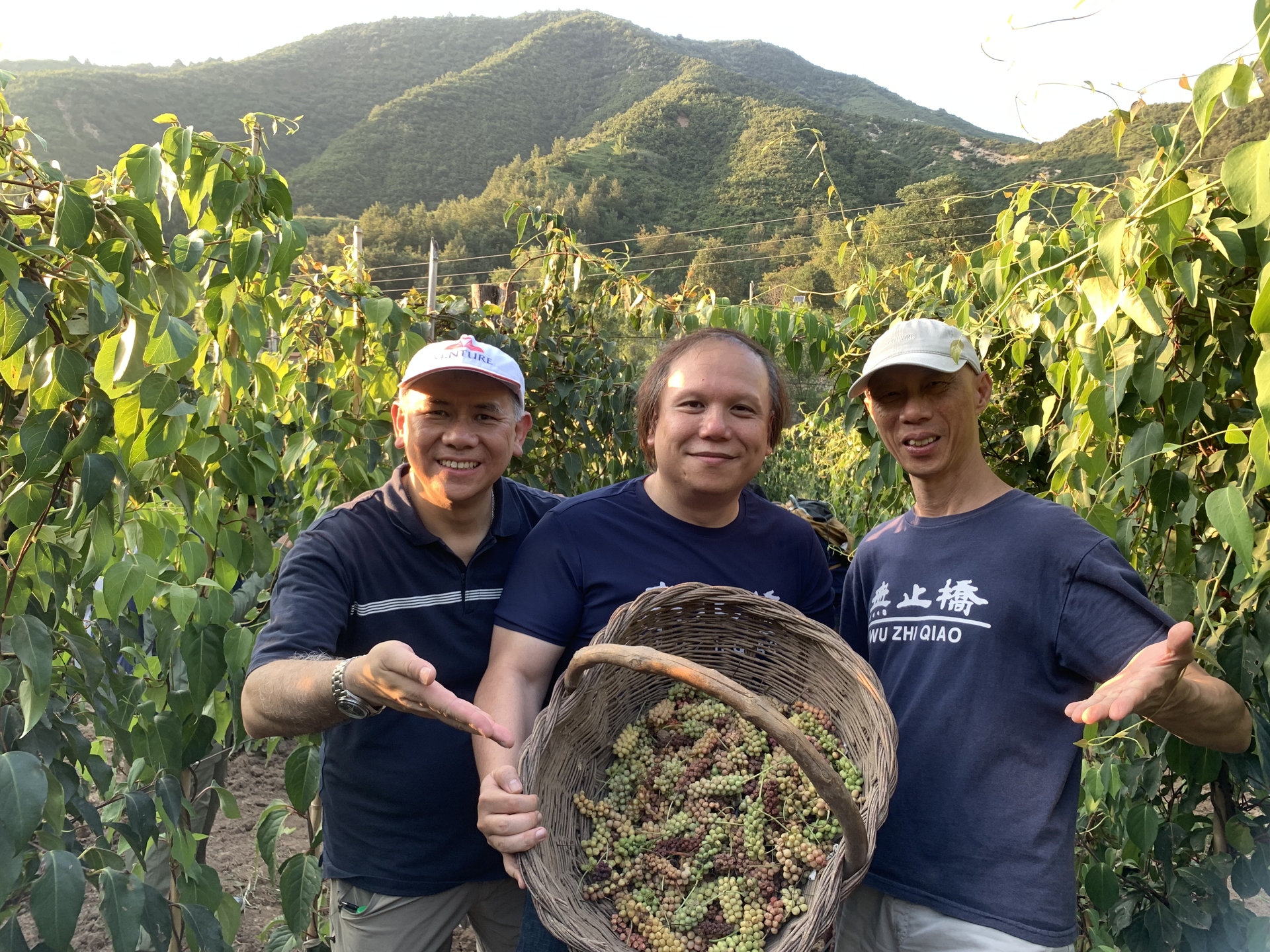 微信图片_20260112101829_43_377