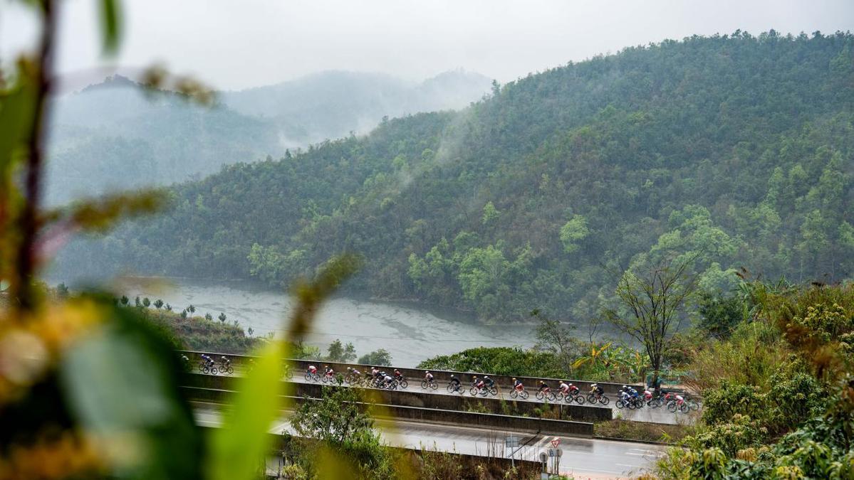 69c22f49a310942c0d5ec02b