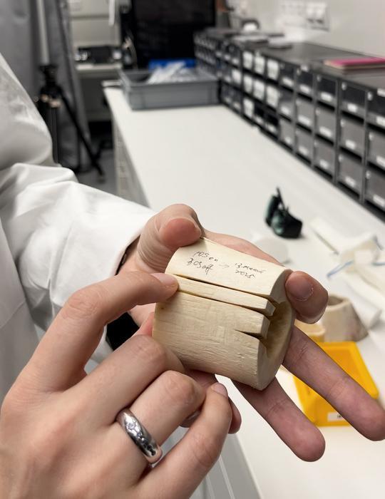 478201_3cd90a31-bd15-4fe5-ab6f-13f0cd98dce0copy