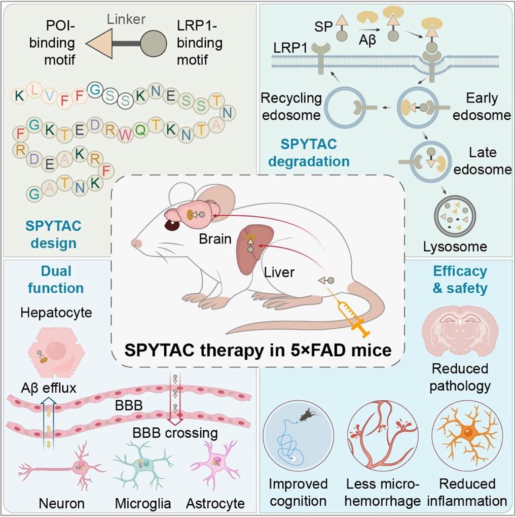 480564_99d6d840-4c2b-4da2-b181-30c184ae759d