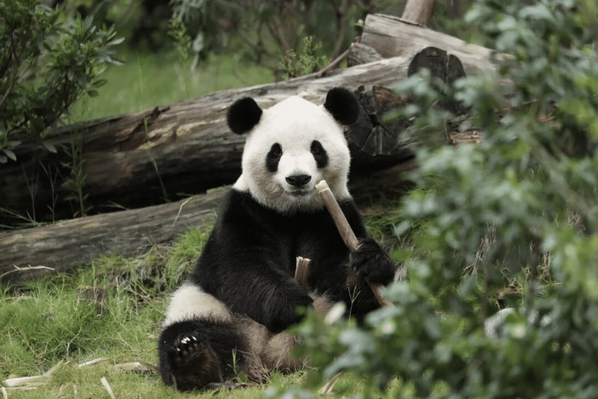 WeCom截图_8aab151f-5521-4364-afad-e43c923c9cf0