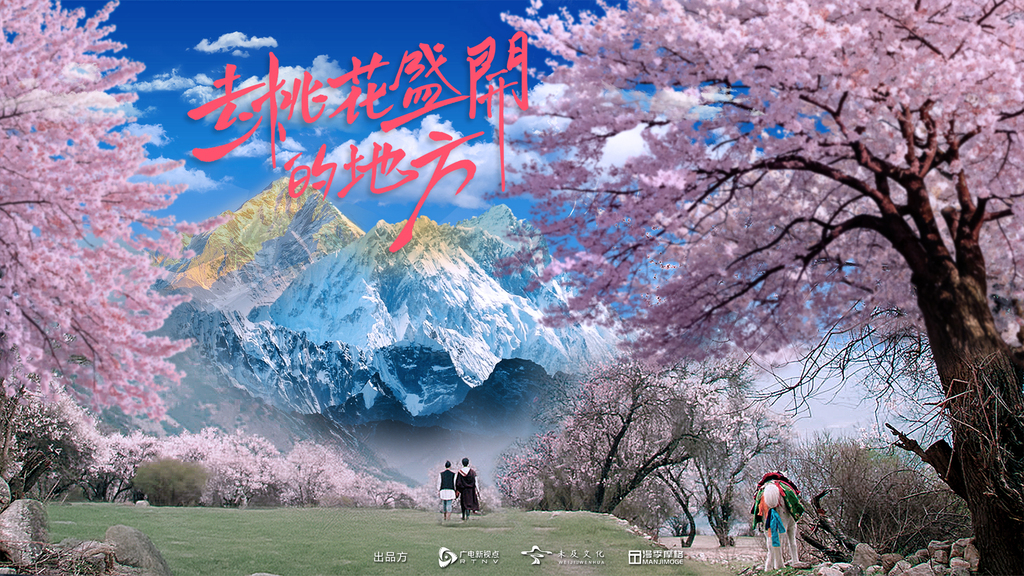 去桃花盛开的地方_banner