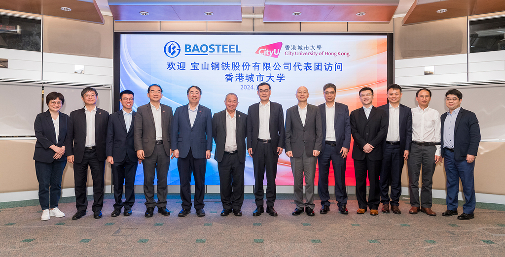 241129_Baosteel_1_crop