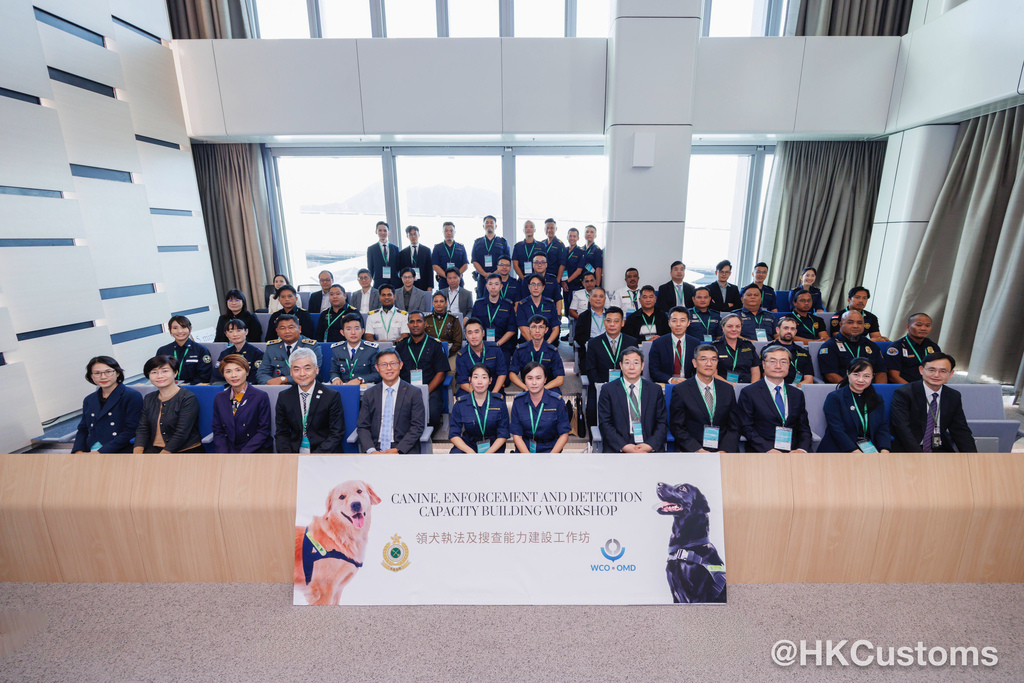 WhatsApp Image 2024-11-29 at 18.24.49