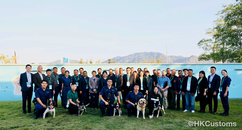 WhatsApp Image 2024-11-29 at 18.19.56