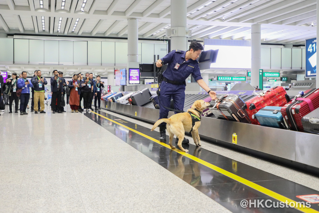 WhatsApp Image 2024-11-29 at 18.19.59