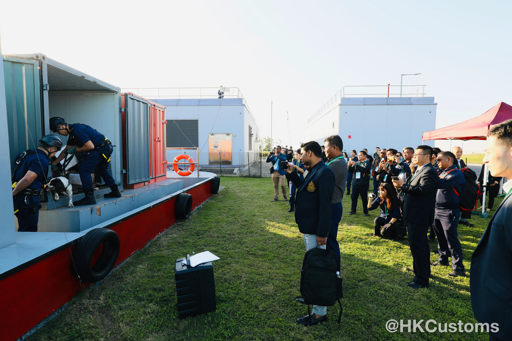 WhatsApp Image 2024-11-29 at 18.19.56-2