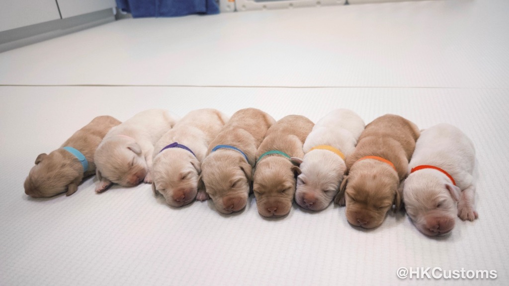 WhatsApp Image 2025-01-20 at 2.46.15 PM