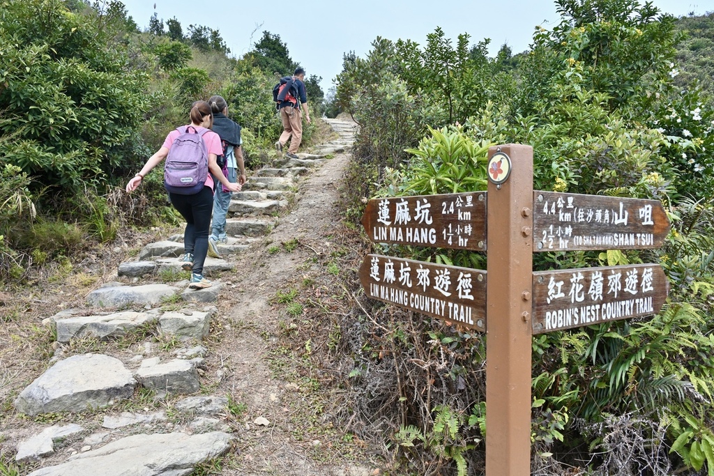 香港北陲