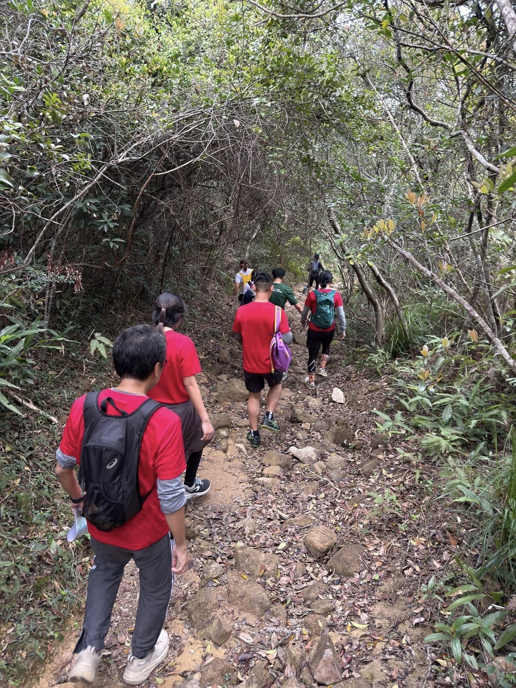 WhatsApp Image 2025-03-08 at 17.54.50 (2)