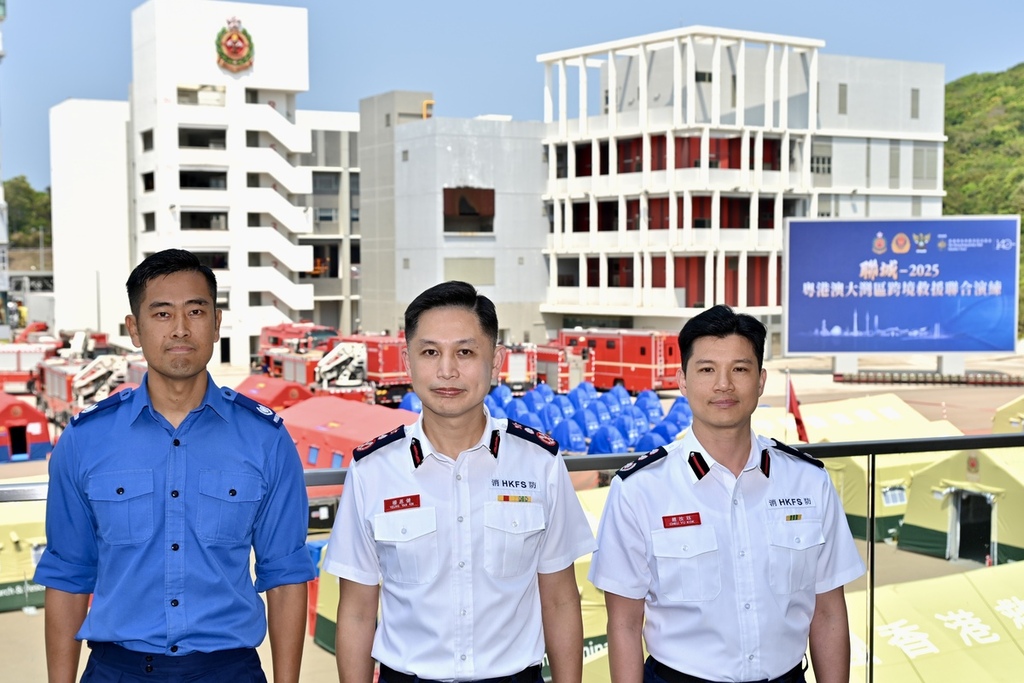 派員支援