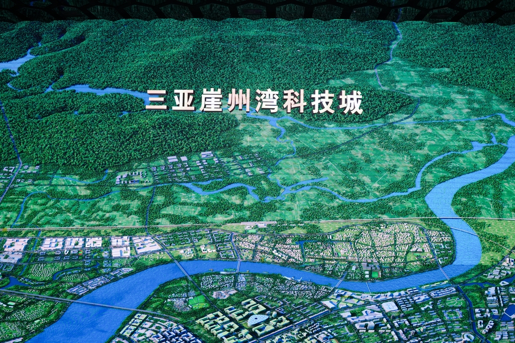 DSC02473-opq3583287348