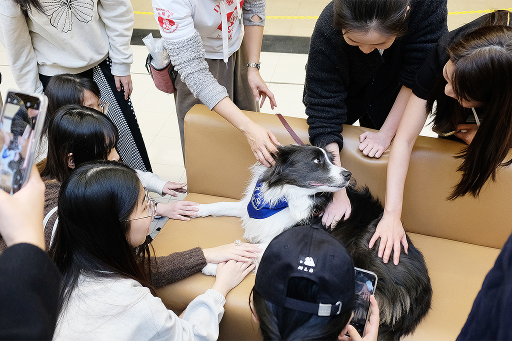 250522-1_paws_0