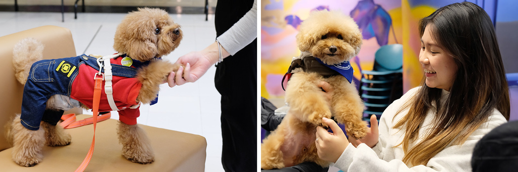 250522-3_paws_1