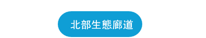 屏幕截图 2025-06-04 180317