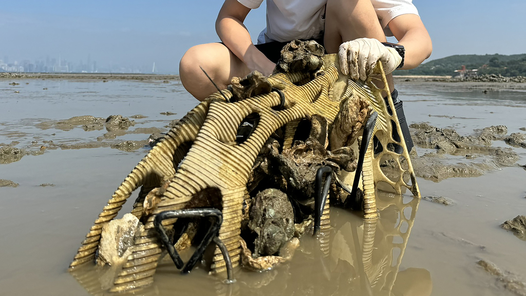 10_Oyster habitat for water quality and biodiversity (Past Prototype)