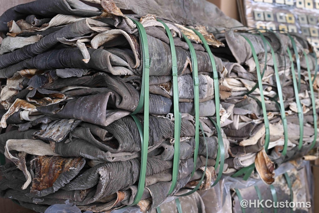 c21f1c7d-b8b5-427b-b360-2ce9db80e893