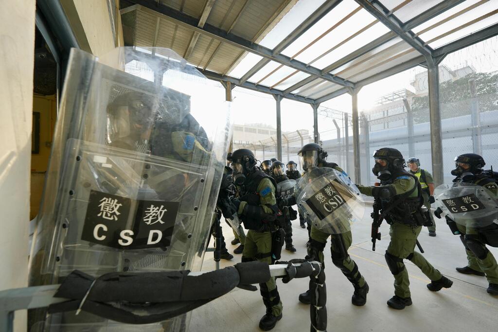 1__WhatsApp Image 2024-12-11 at 5.39