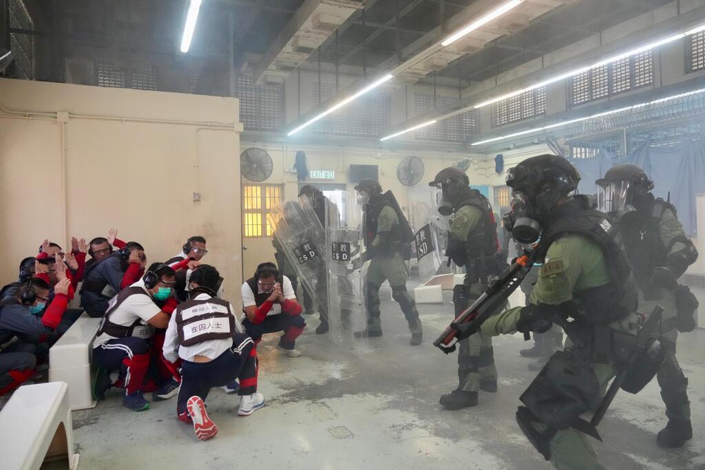 5__WhatsApp Image 2024-12-11 at 5.39