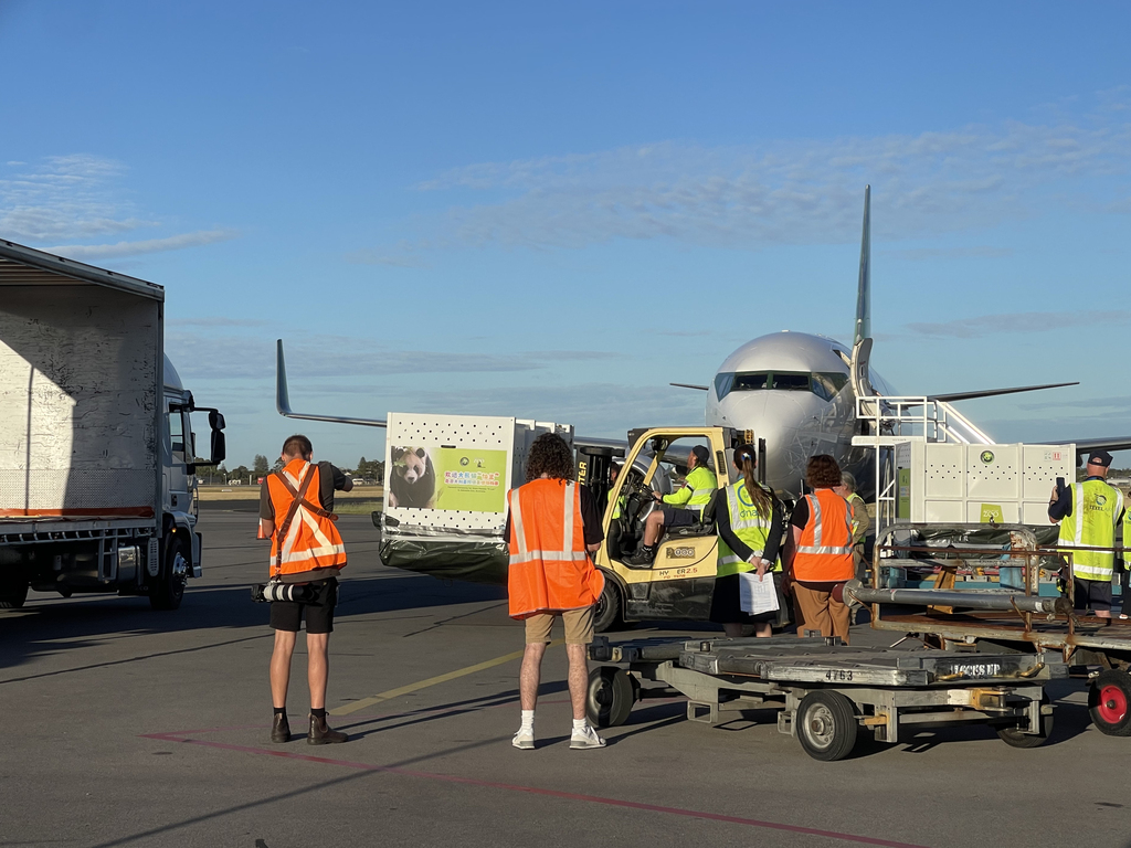 (新華網)大熊貓“星秋”“怡蘭”抵達澳大利亞阿德萊德XxjpsgC007028_20241215_PEPFN0A001