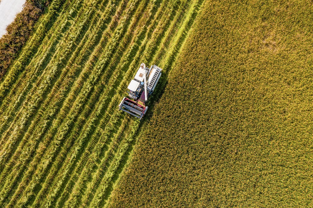 新华全媒头条_“确保我国经济航船乘风破浪、行稳致远” ——2024年中央经济工作会议侧记+(4)XxjpsgC007439_20241214_PEPFN0A001