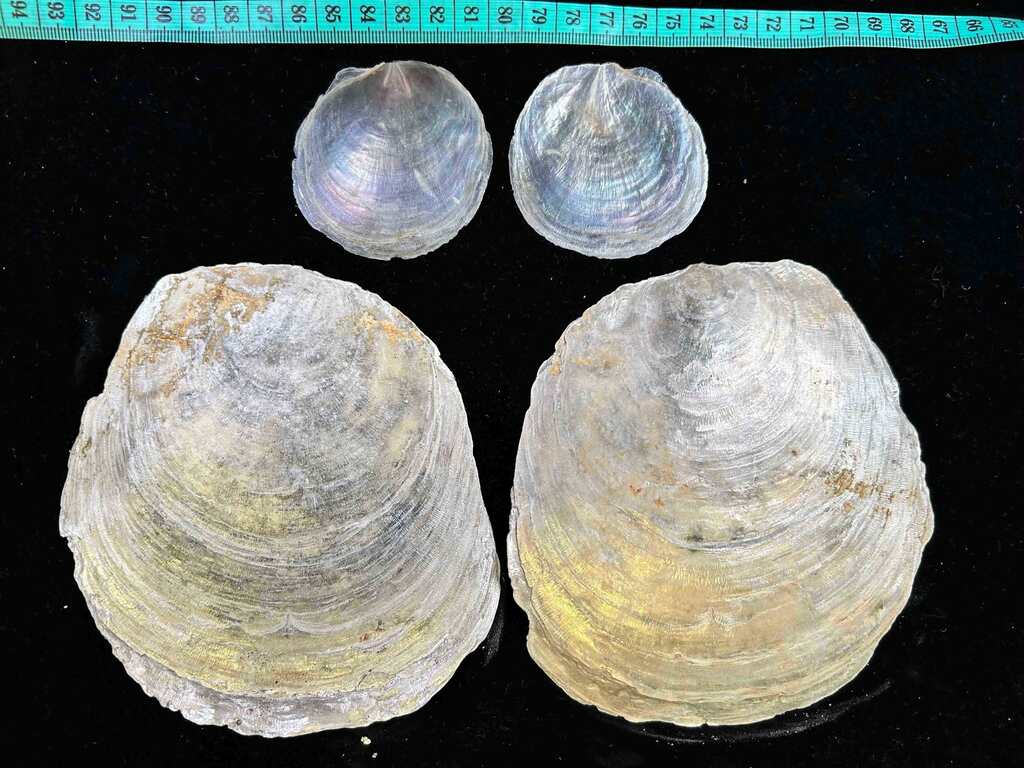 67603826e4b091a1f30e0c411