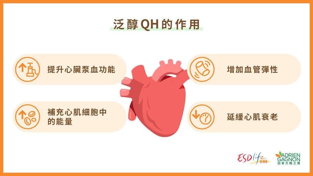 6757ed14e4b091a1f30c16091