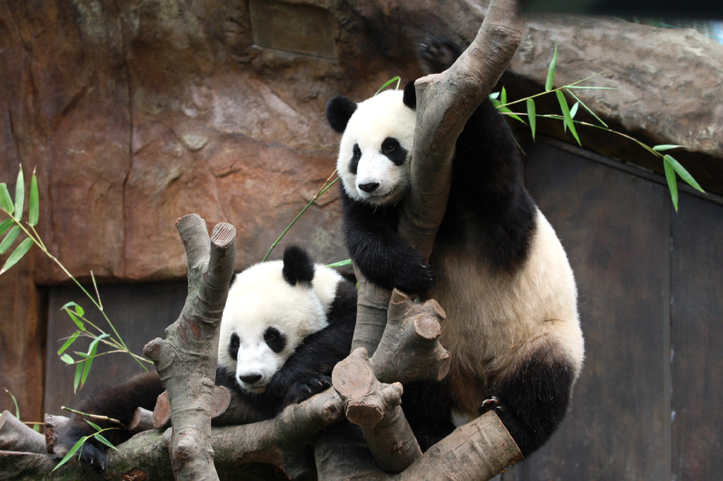 图片10