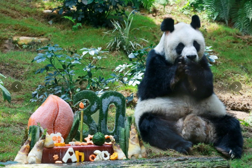 图片11