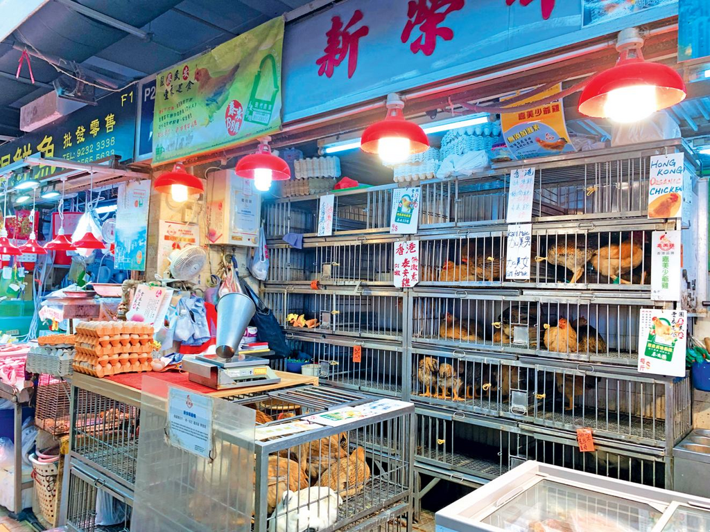 图片4