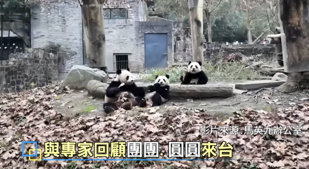 萤幕截图 2024-12-28 下午2.08