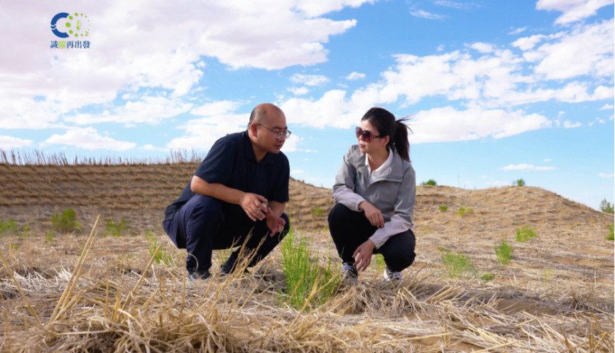 甘肃省武威市-主持人黄冰芬在三北工程治沙现场
