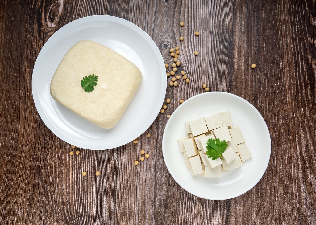 tofu-5966853_1280(1)