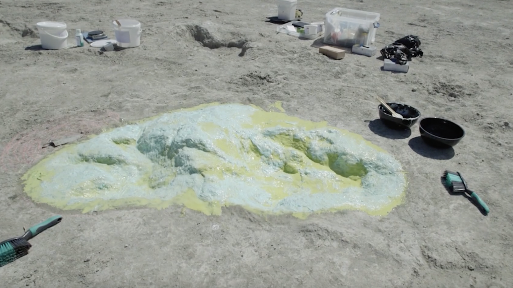 202501045d179adc09144a99851dfd6c69b75205_372a6d5aed02424fa3ce07e0578bebbc