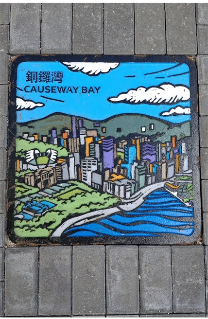 Victoria park- manhole cover