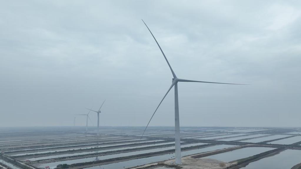 202510317605352520a64c769b61f0c457a98dc4_1b16430985964957a918dd4156f7f1e5