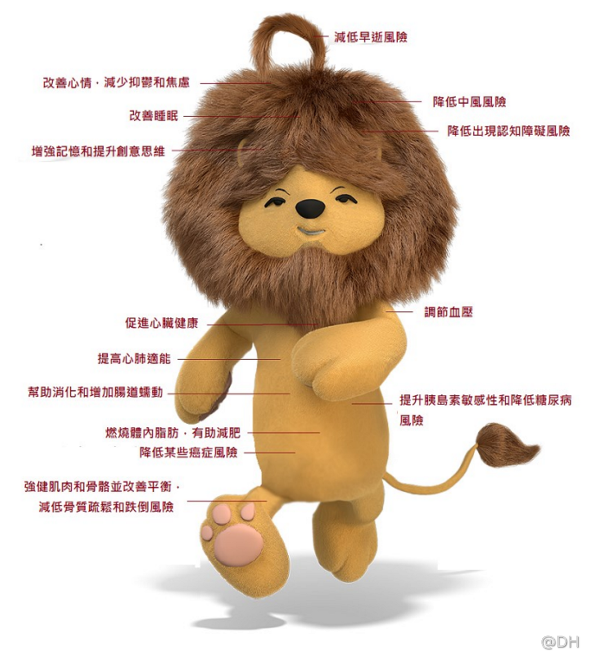 健康的好处 (TC) DH