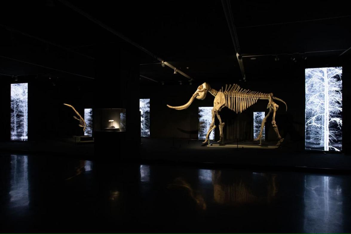 5f9a364fec083d04e566ba358ea7d0d0